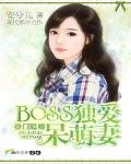 豪門隱婚:BOSS獨愛呆萌妻