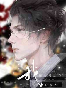 我那高嶺之花的愛人
