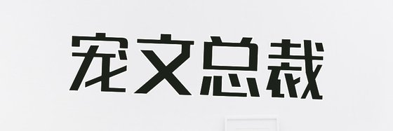 宠文总裁&好看的10部经典小说