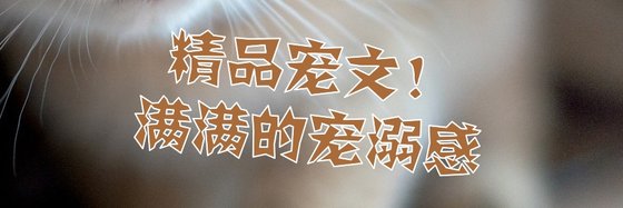 精品宠文！满满的宠溺感