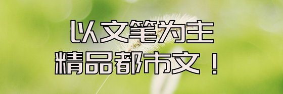 以文筆為主的精品都市文！